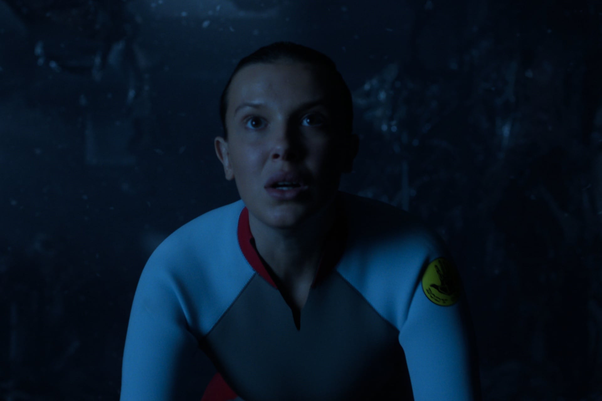 What Happens After: The Animated Series and the Future of Hawkins - visual representation