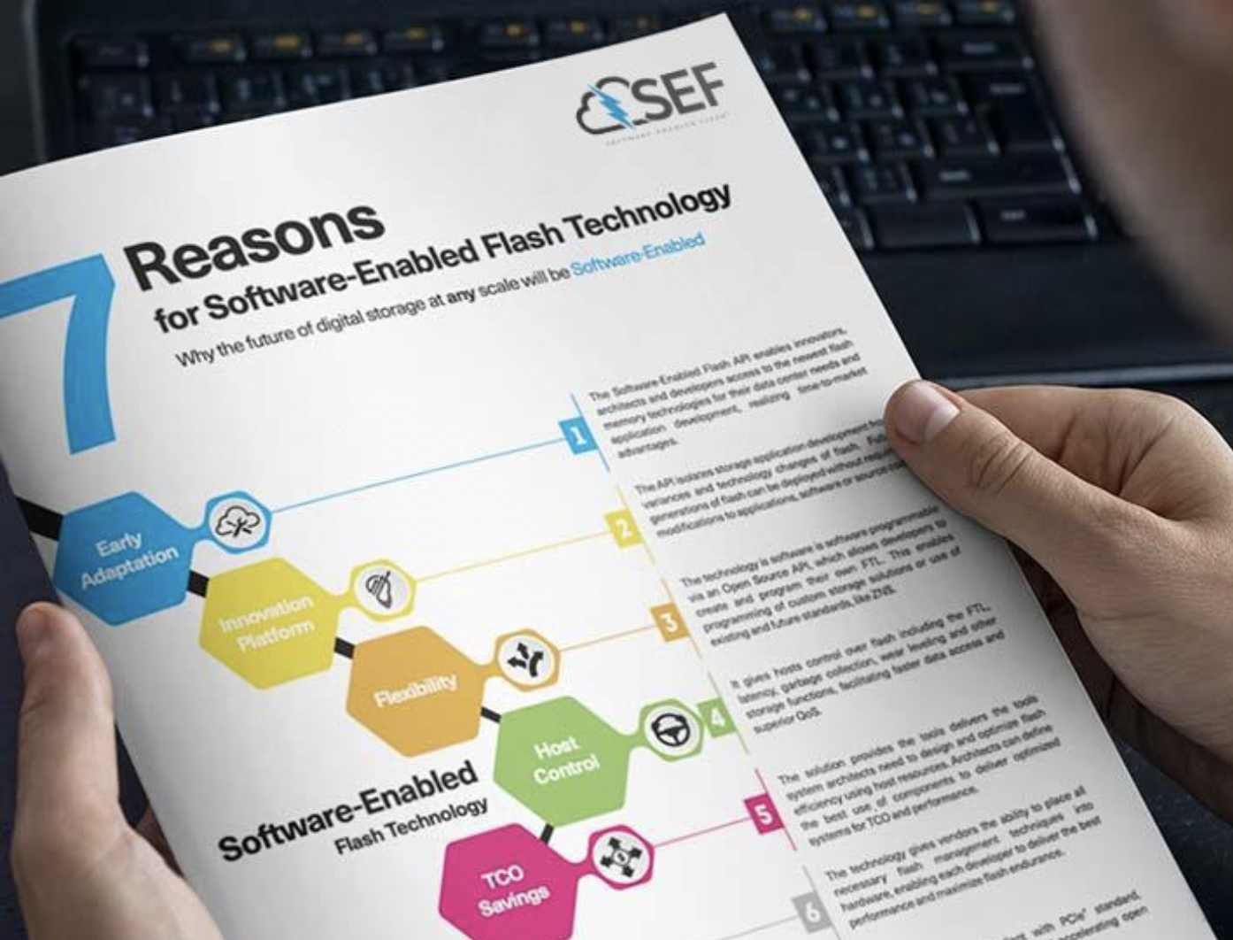 Timeline and Commercialization Path - visual representation