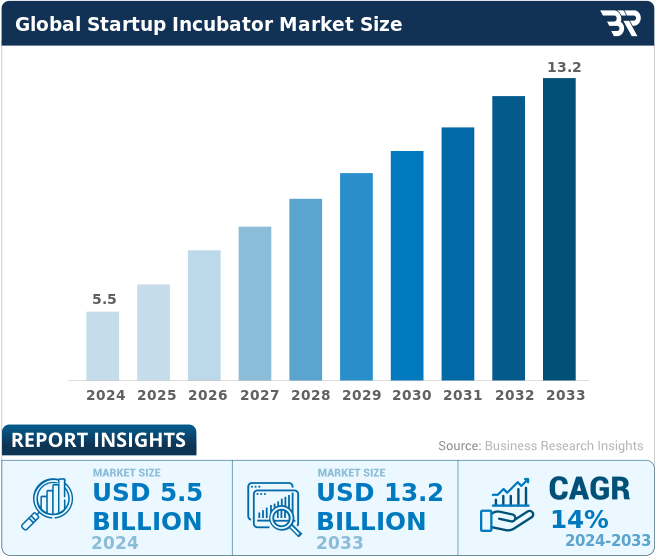 Mentorship and Network Effects - visual representation