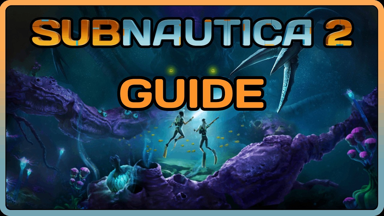 Practical Implementation Guide for New Players - contextual illustration