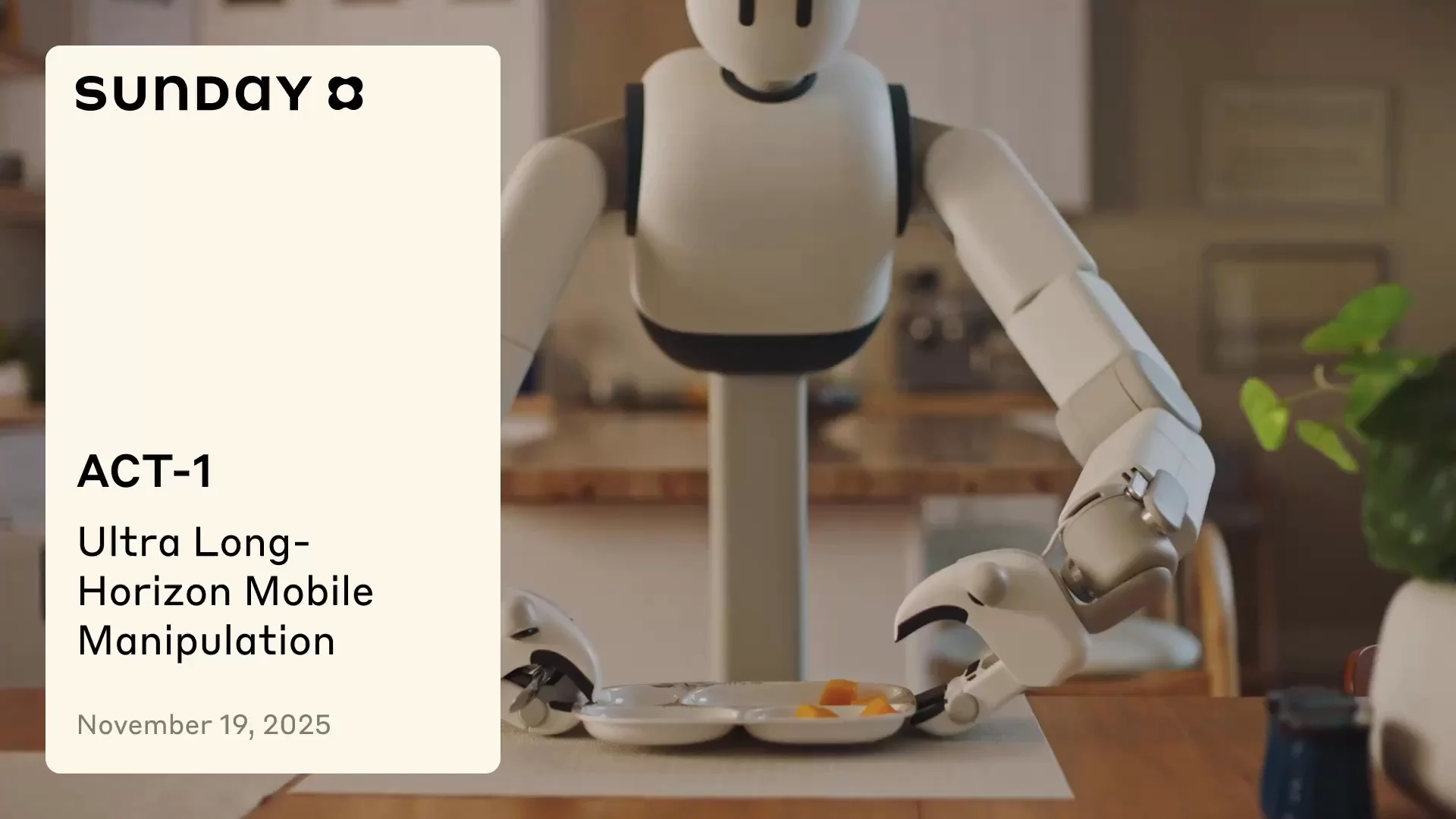 The Future of Household Robotics - visual representation