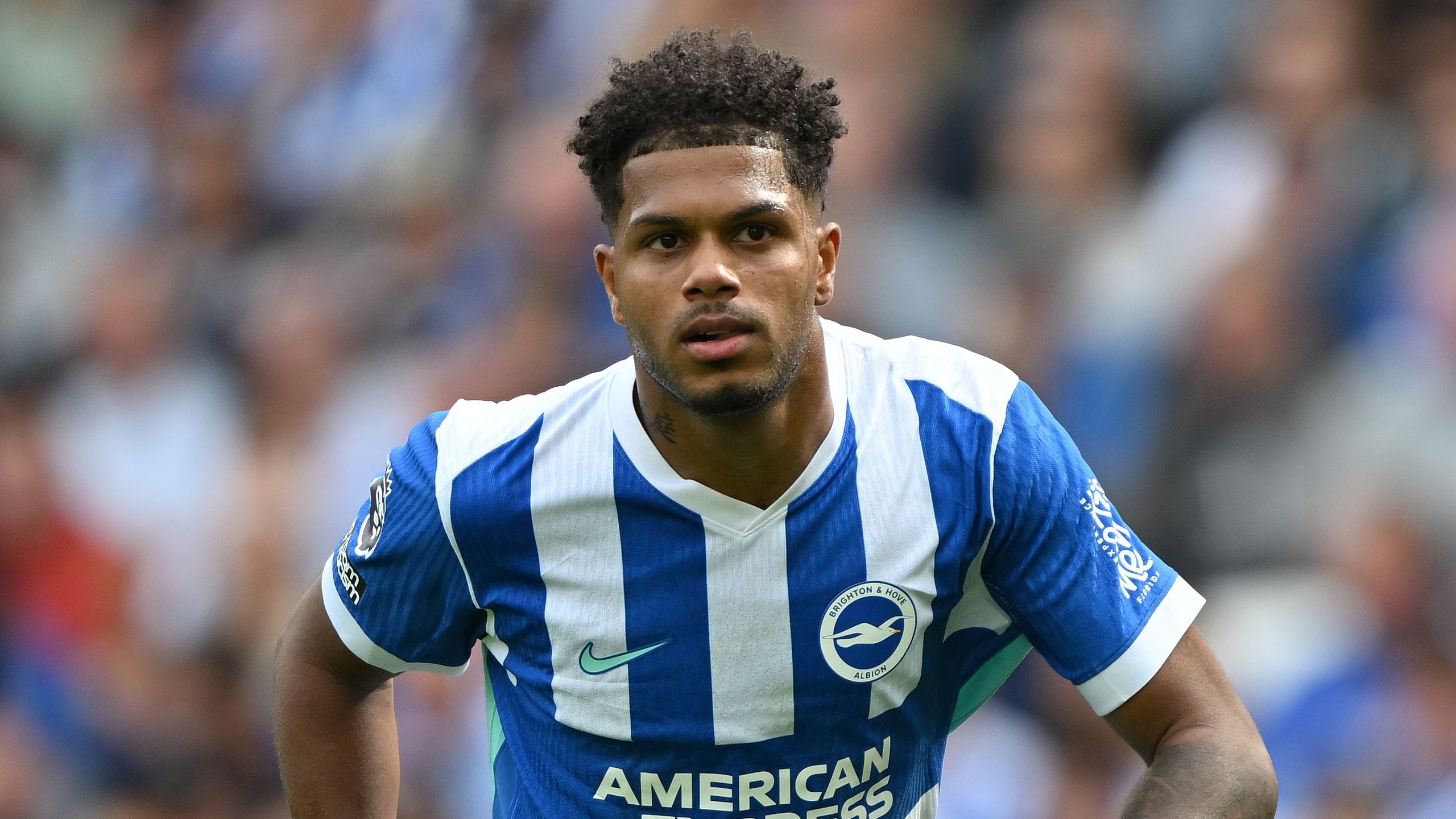 Sunderland vs Brighton live streams: How to watch Premier League 2025-26 | TechRadar