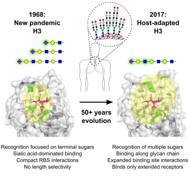 The Severity Picture: Numbers That Matter - visual representation