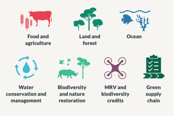The Larger Context: Why Biodiversity Matters to Everyone - visual representation