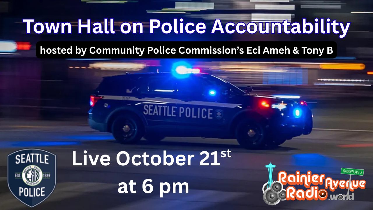 What This Means for Police Accountability Going Forward - visual representation