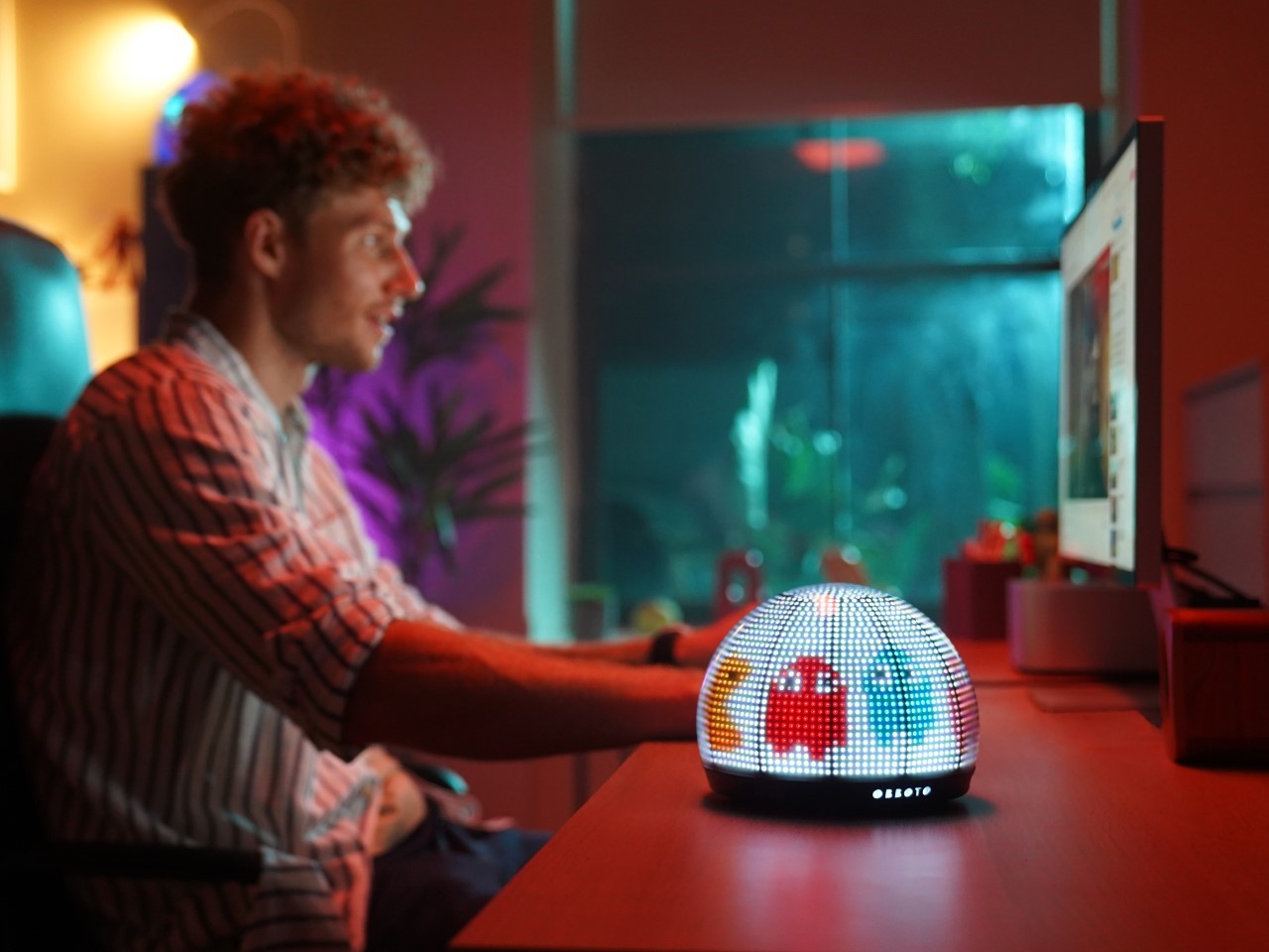 Future Possibilities and Feature Expansion - visual representation