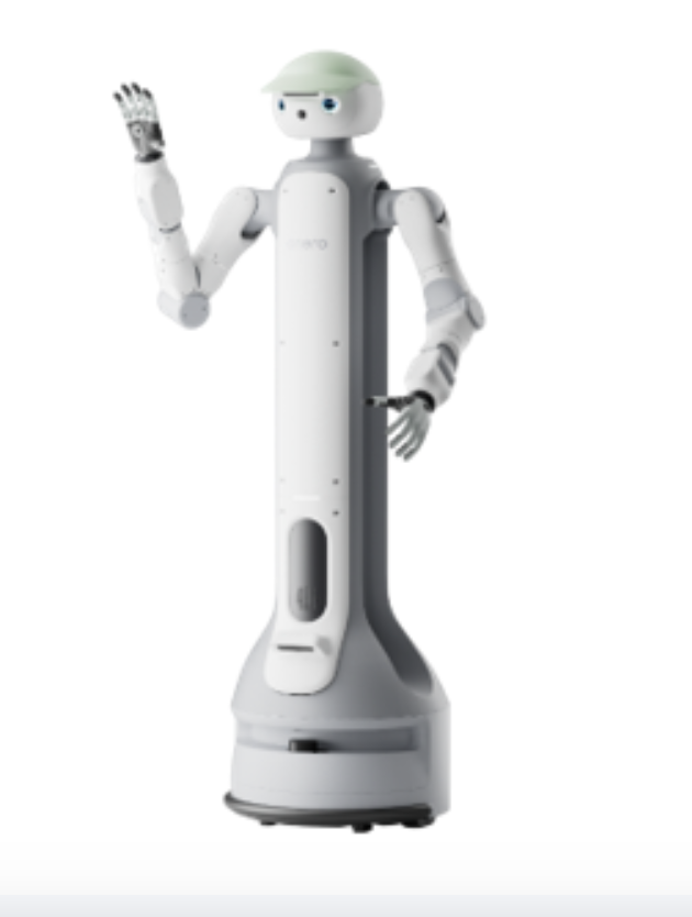 The Broader Context: Where Robots Fit in Home Automation - visual representation