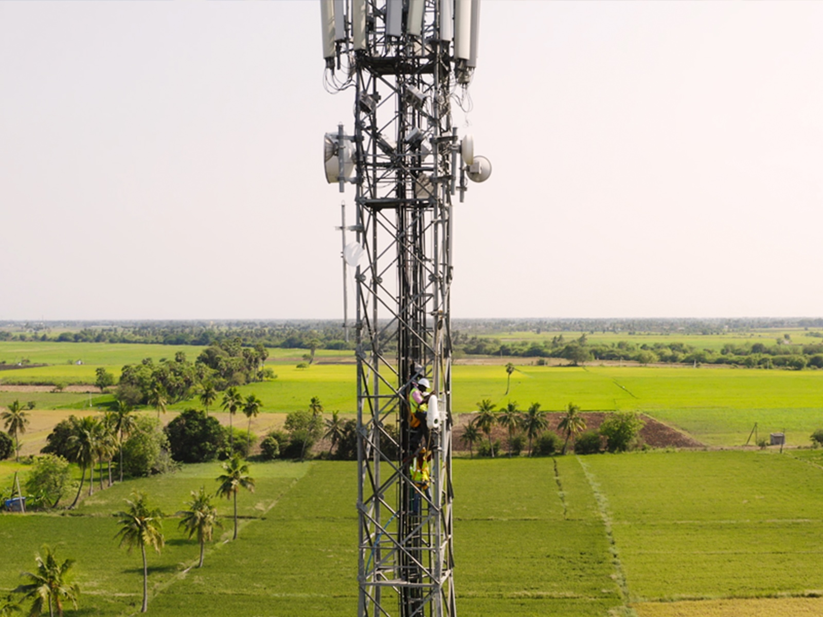 The Bottom Line: When Taara Beam Makes Sense - visual representation