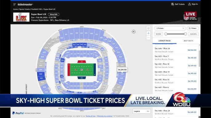 Why Tech CEOs Actually Care About Super Bowl LIX: It's Not Just About Football - visual representation