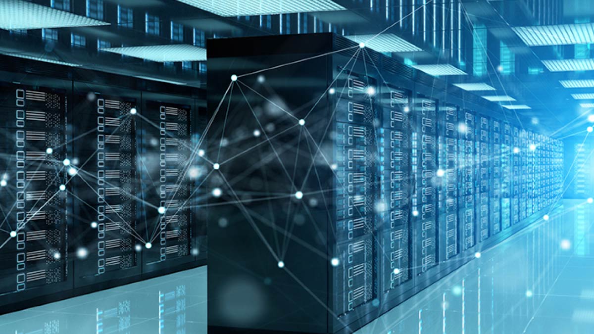 The Future: Multi-Vertical Expansion and Service Evolution - visual representation