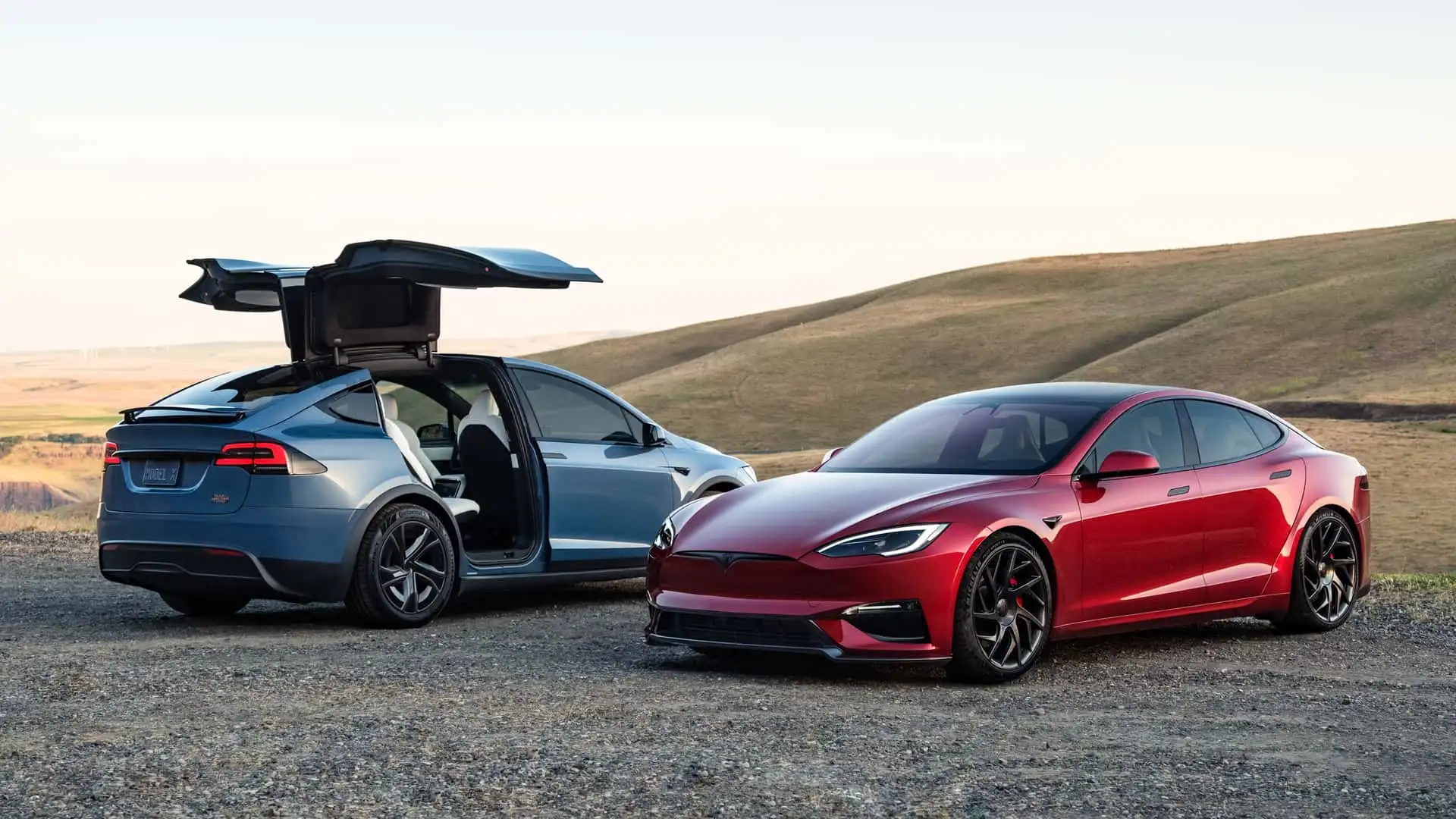 The Competitive Landscape That Made Discontinuation Possible - visual representation