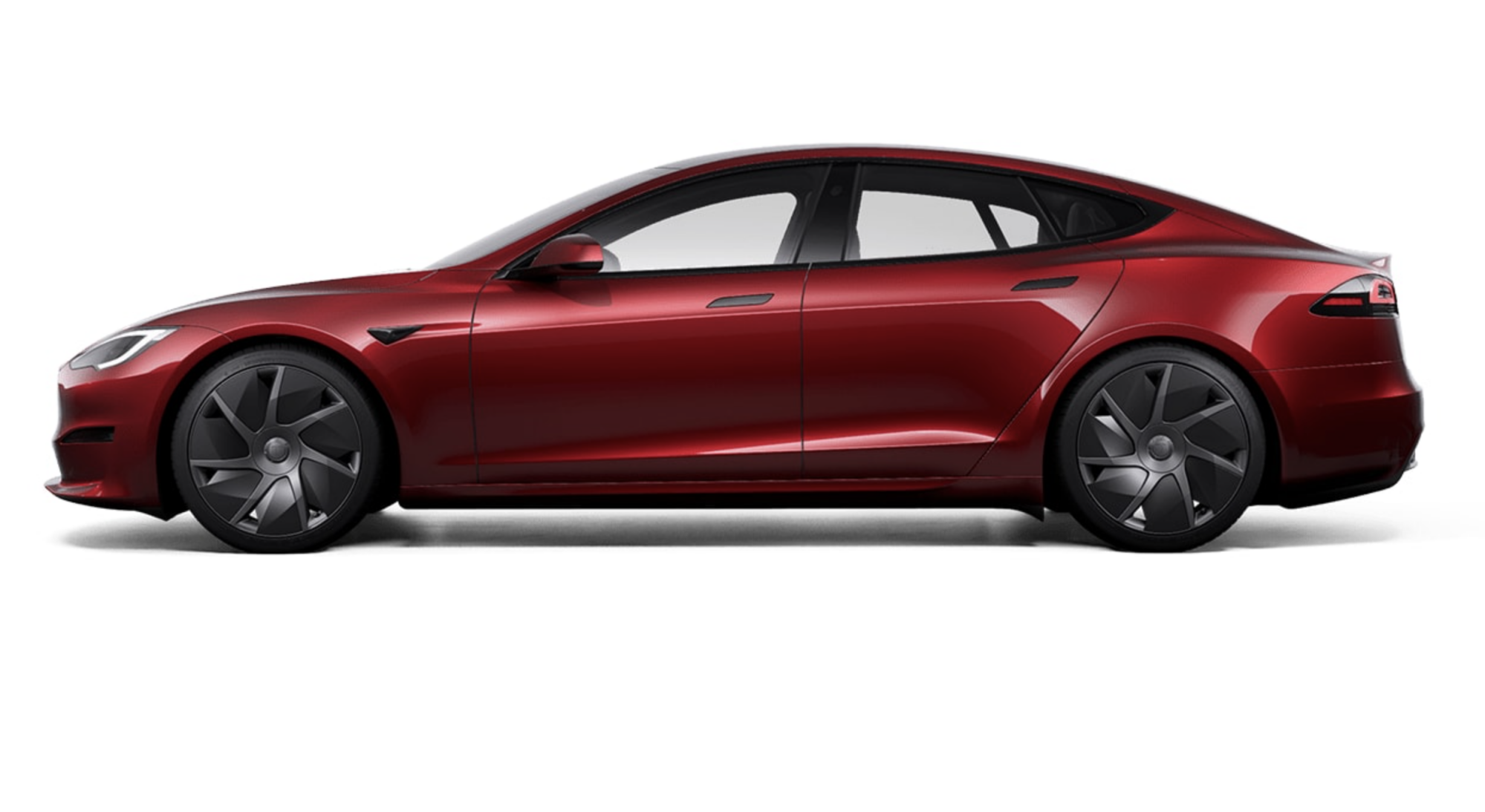 Expert Perspectives and Industry Commentary - visual representation