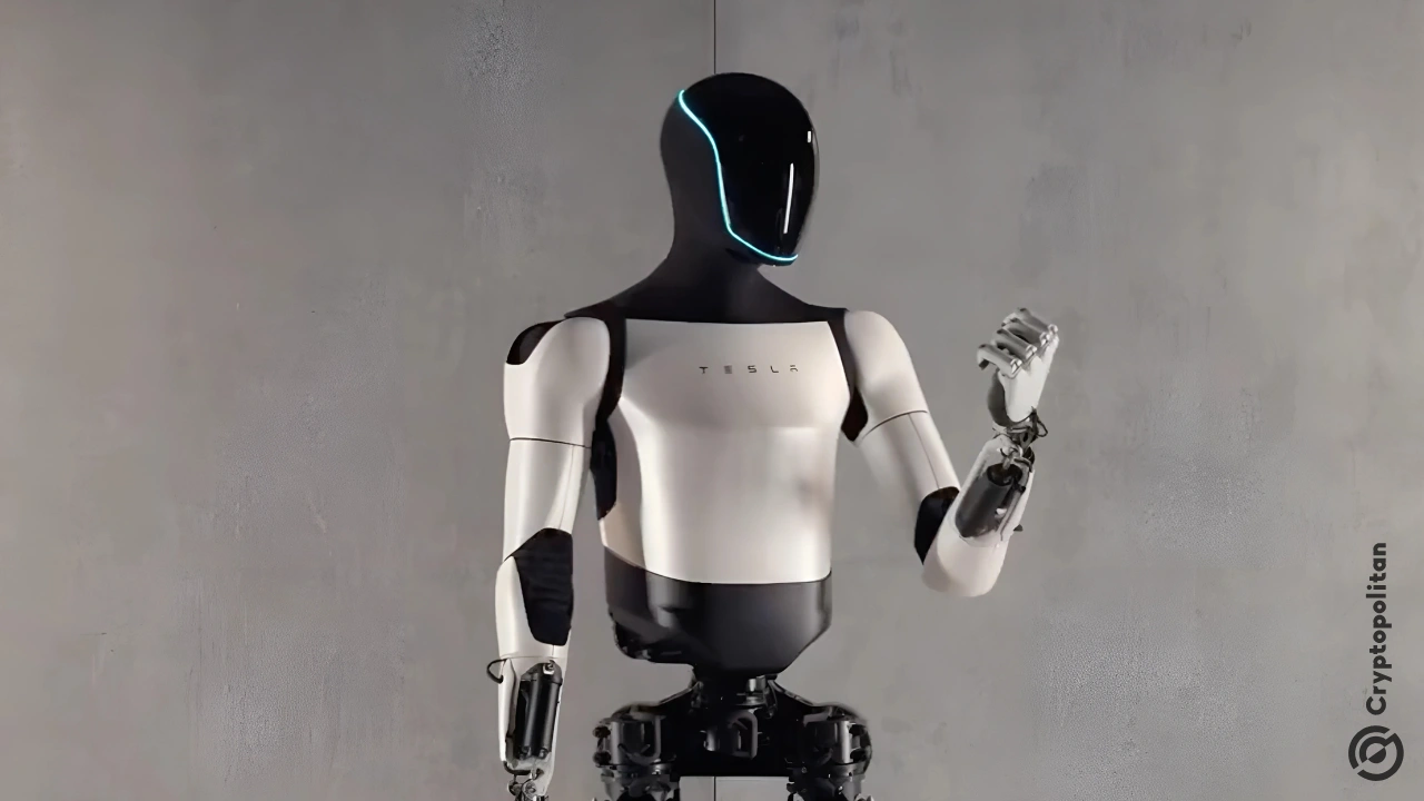 Investment and Capital Allocation - visual representation