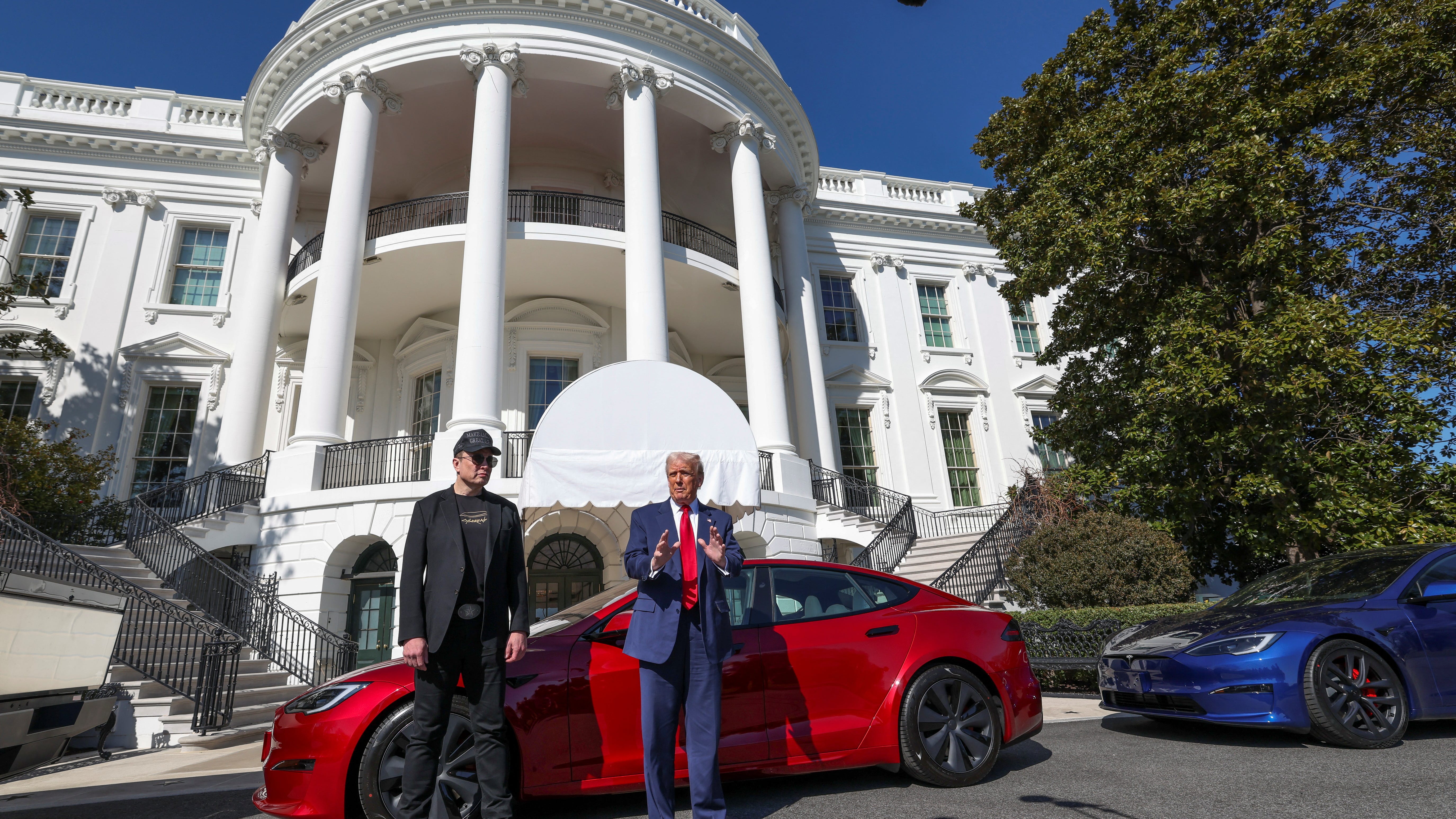 The Humanoid Robot Bet: The Audacity and the Risk - visual representation