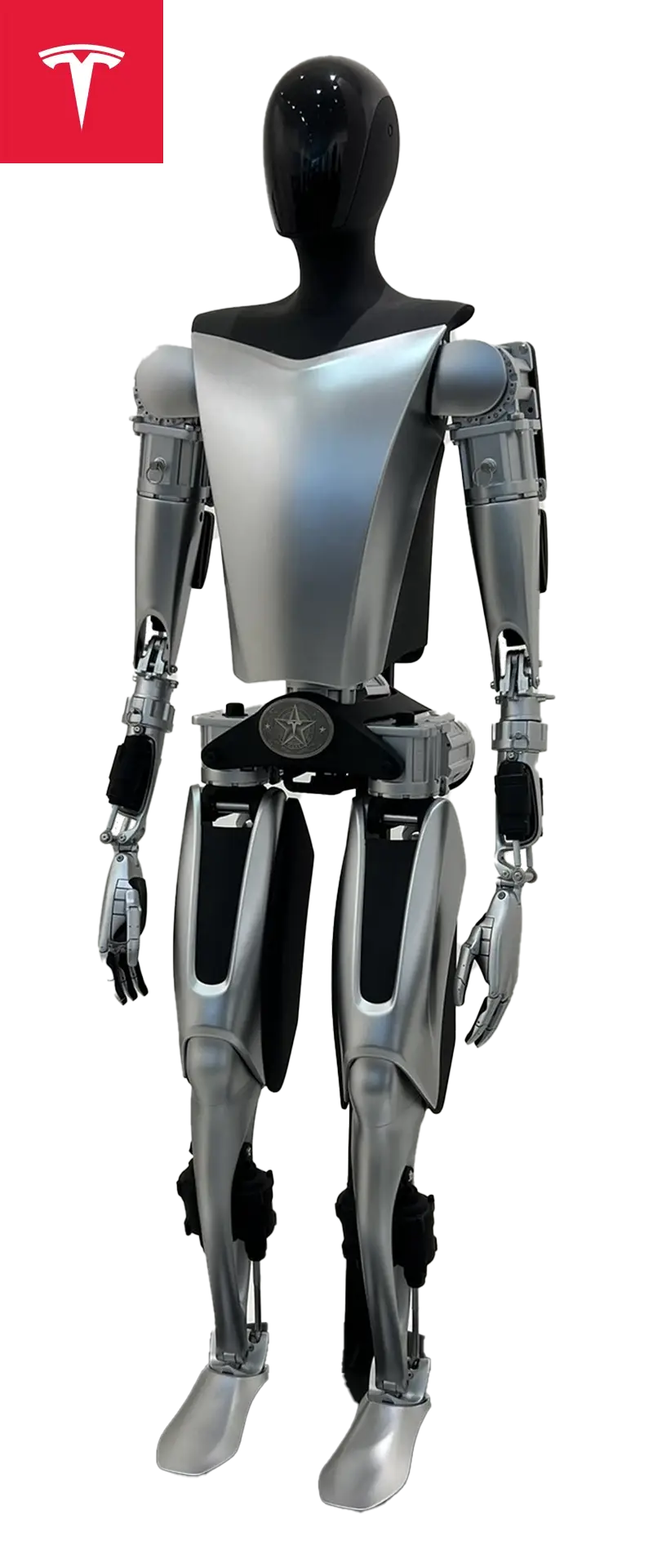 The Future: Where Does This Go From Here? - visual representation