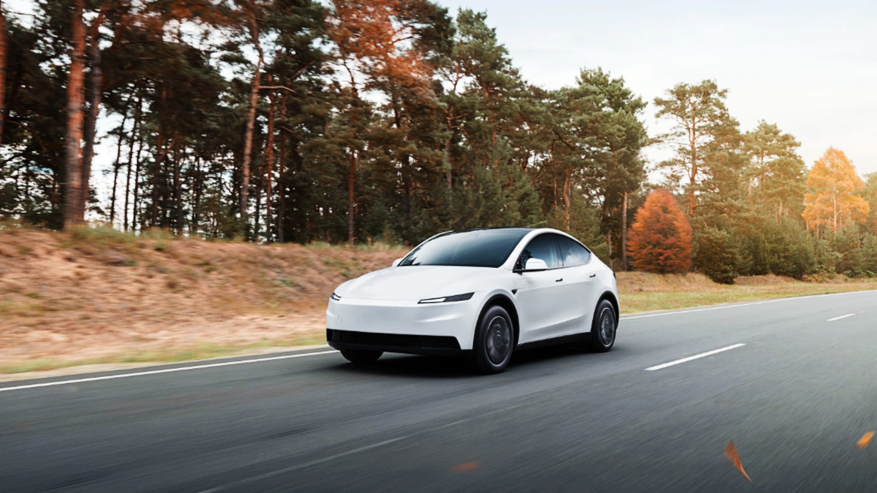 Future Predictions and Recommendations - visual representation