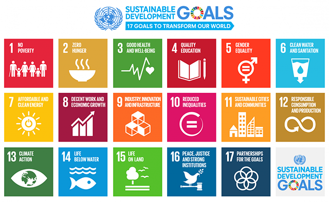 6. Sustainability Initiatives - visual representation