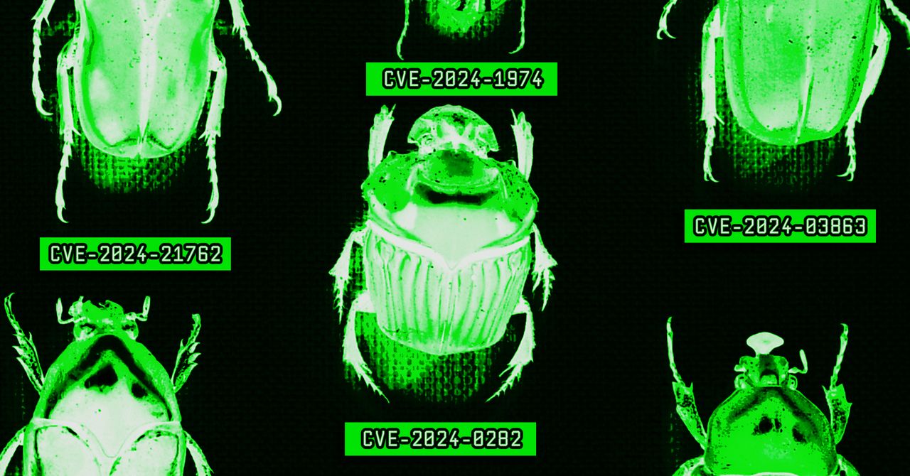 The AI Era Is Creating a Bug Hunting Arms Race | WIRED
