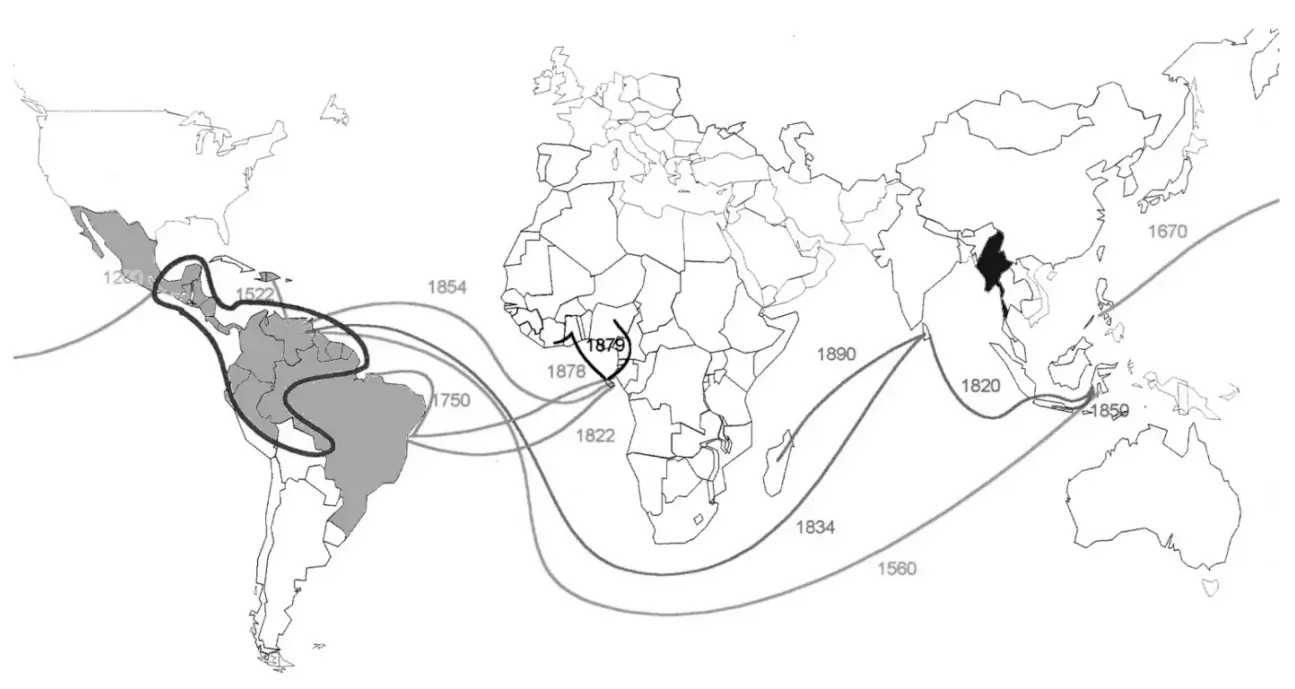 Conclusion - visual representation