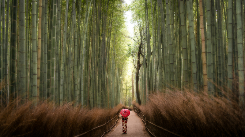 Sigma 35mm f/1.2 DG DN Art - contextual illustration