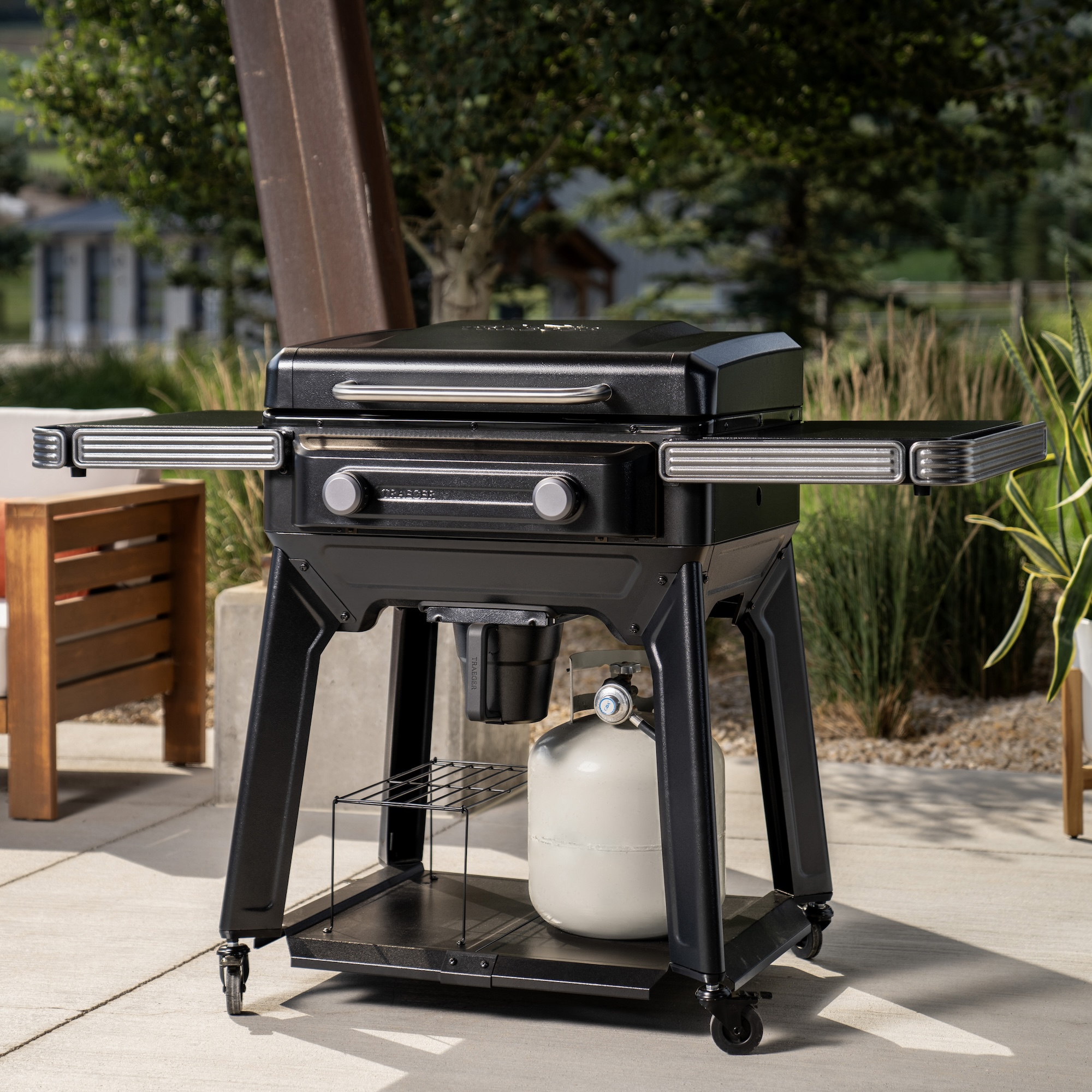Weber Genesis II E-310 - visual representation