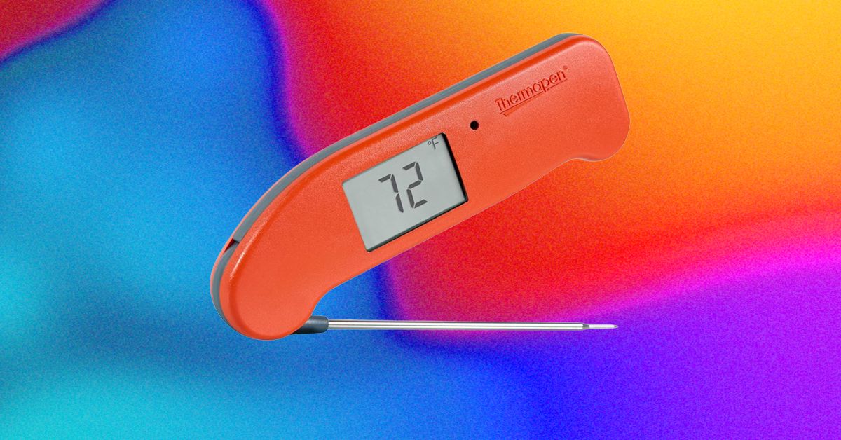 The Best Kitchen Gadget to Prevent Salmonella Is a Good Meat Probe | WIRED