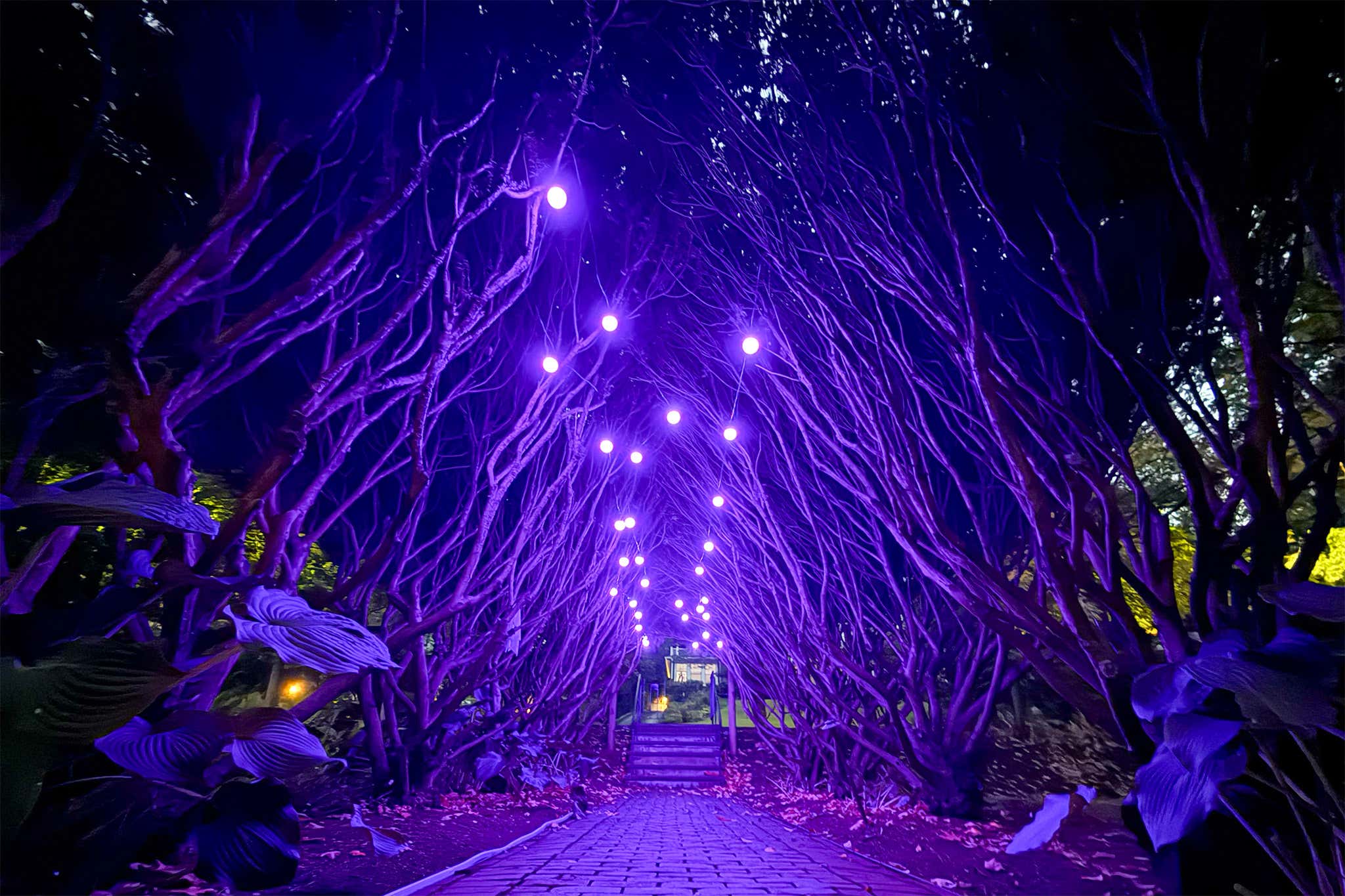 TL; DR - visual representation