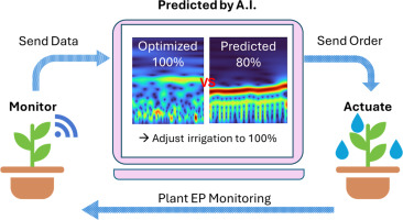Future Trends in Smart Irrigation - contextual illustration