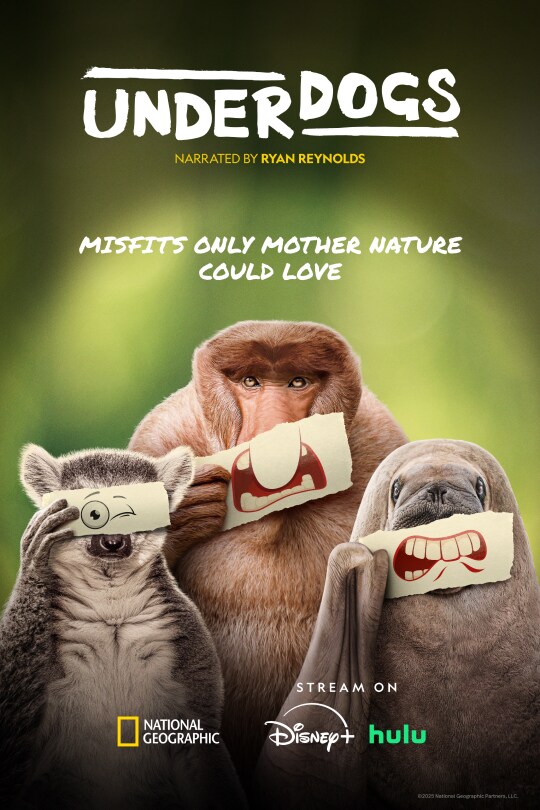 The Sandman: Dark Fantasy for a Dark Year - visual representation