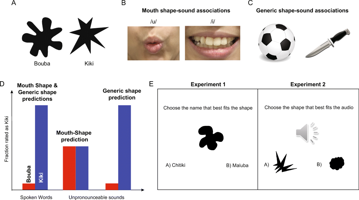 The Mystery of Individual Differences: Why Some People Show the Effect More Than Others - visual representation