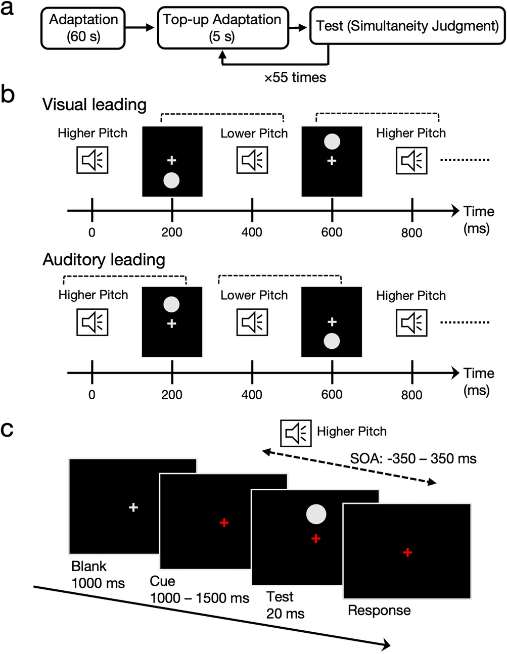 Crossmodal Correspondence: When Your Senses Talk to Each Other - contextual illustration