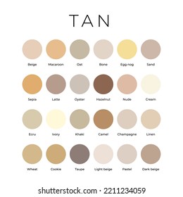 Understanding the Beige Color Spectrum - contextual illustration