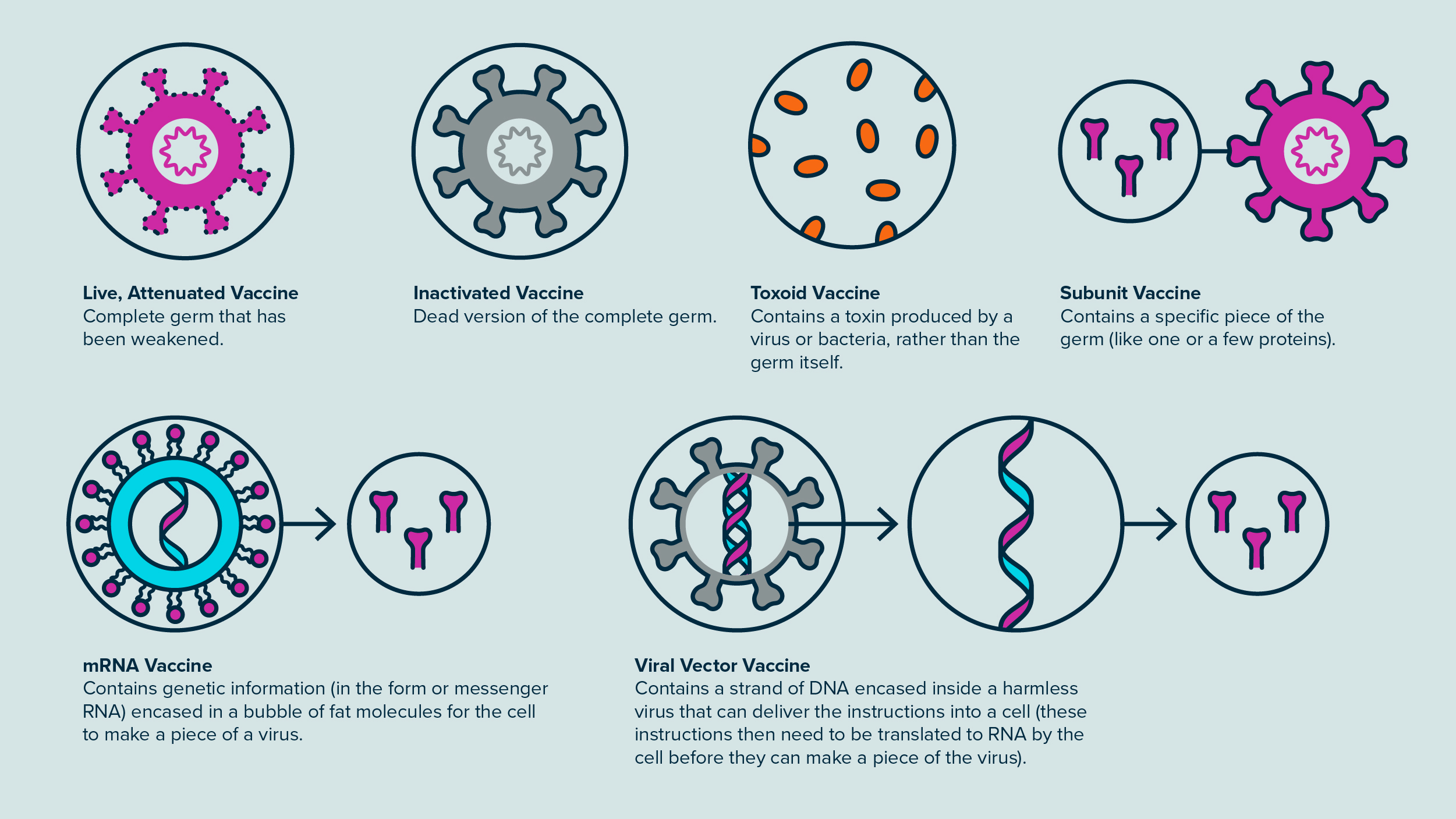 Vaccination: The Key to Prevention - contextual illustration
