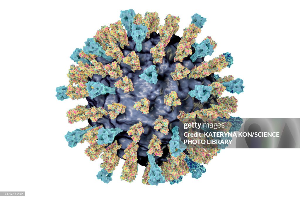 Understanding Measles - contextual illustration
