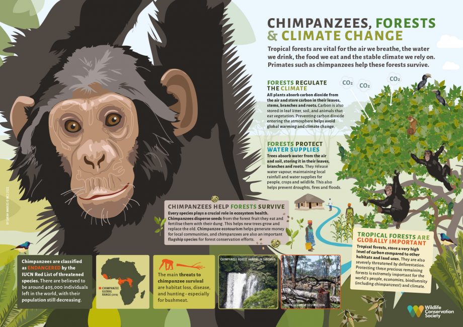 Implications for Understanding Human Behavior - visual representation