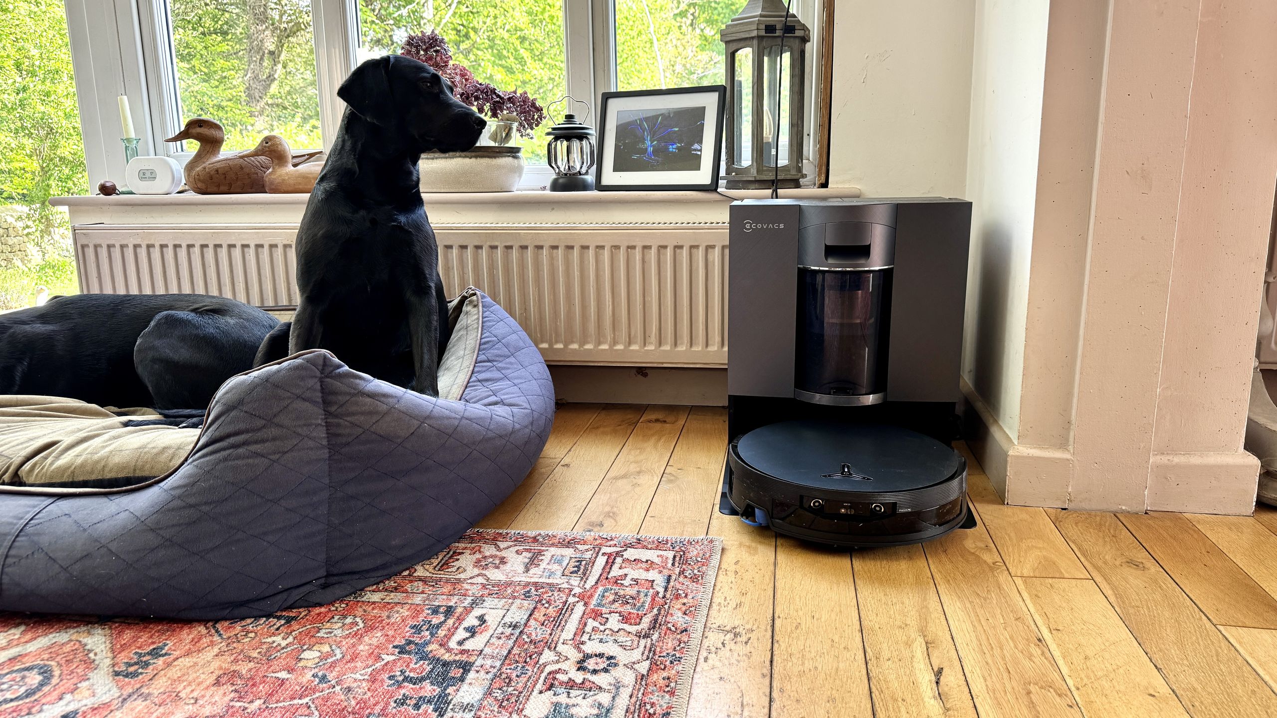 The Ecovacs Deebot X12 OmniCyclone is an impressively inventive robot cleaner that mops very well, but struggles to sweep up the competition | TechRadar