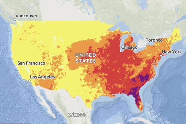 The International Dimension: US Climate Credibility at Stake - visual representation