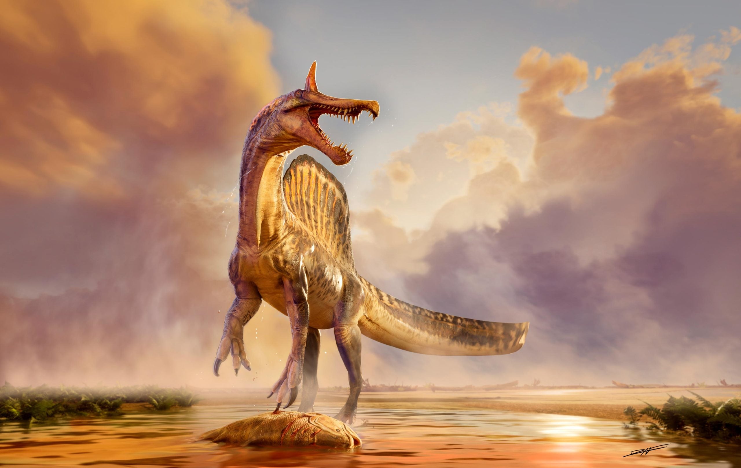 FAQ - visual representation