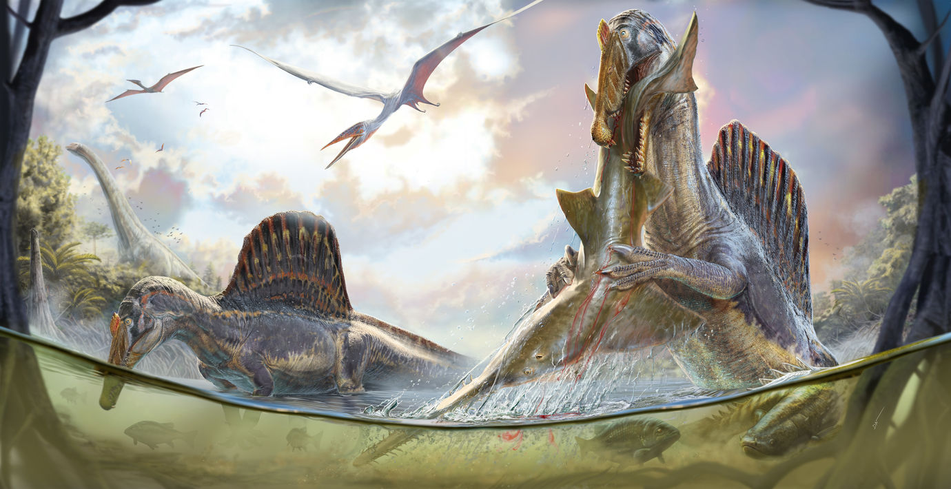 Spinosaurus: Terrestrial Predator or Aquatic Hunter? - visual representation