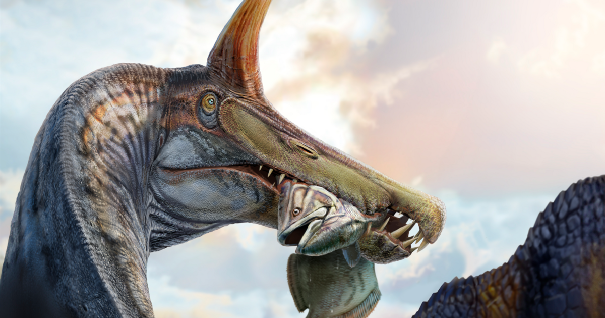 Conclusion: The Ever-Evolving Story of the Spinosaurus - visual representation