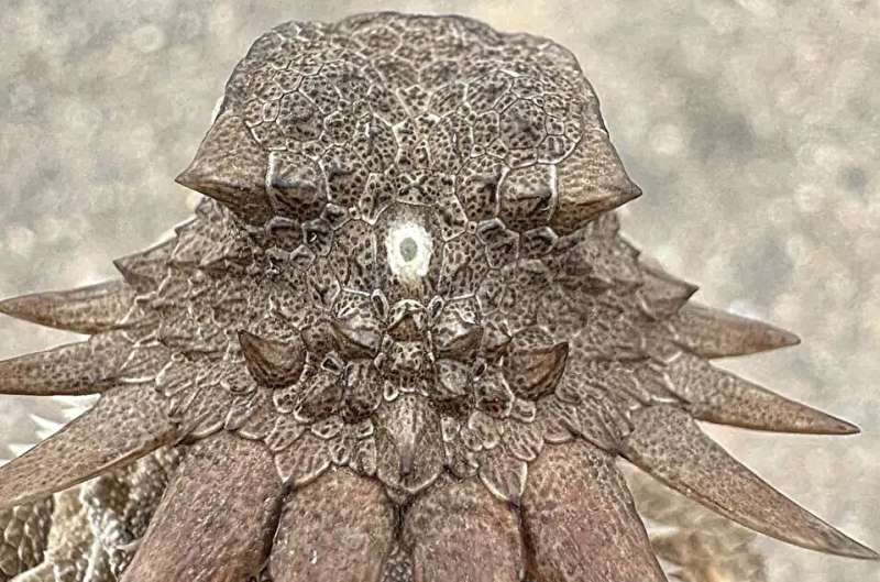 Key Takeaways - visual representation