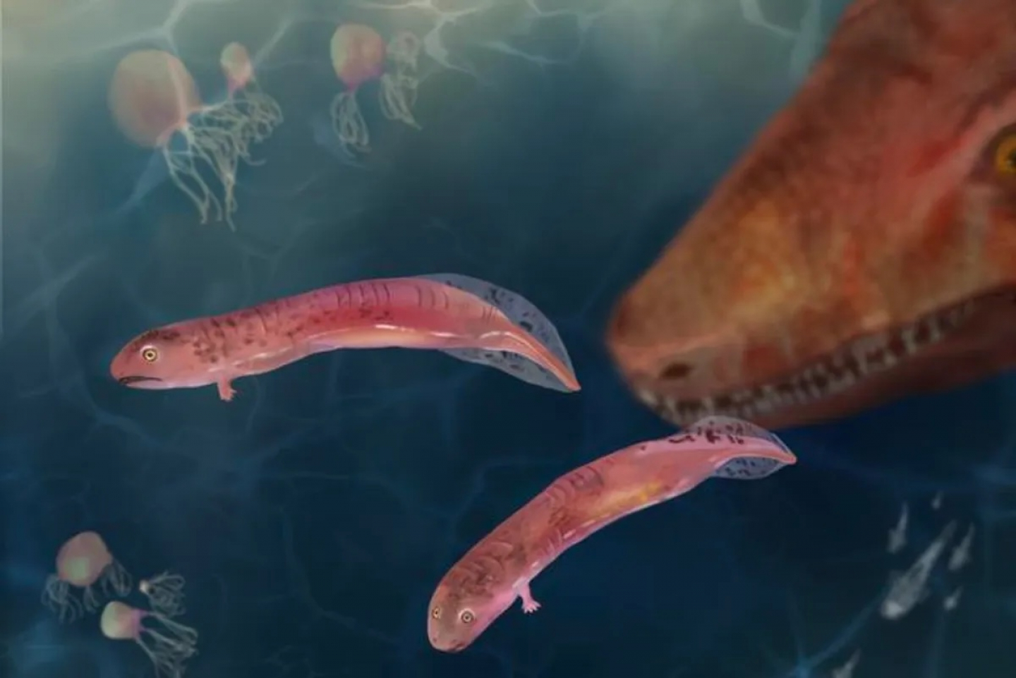 Conclusion: The Legacy of Early Tetrapods - visual representation