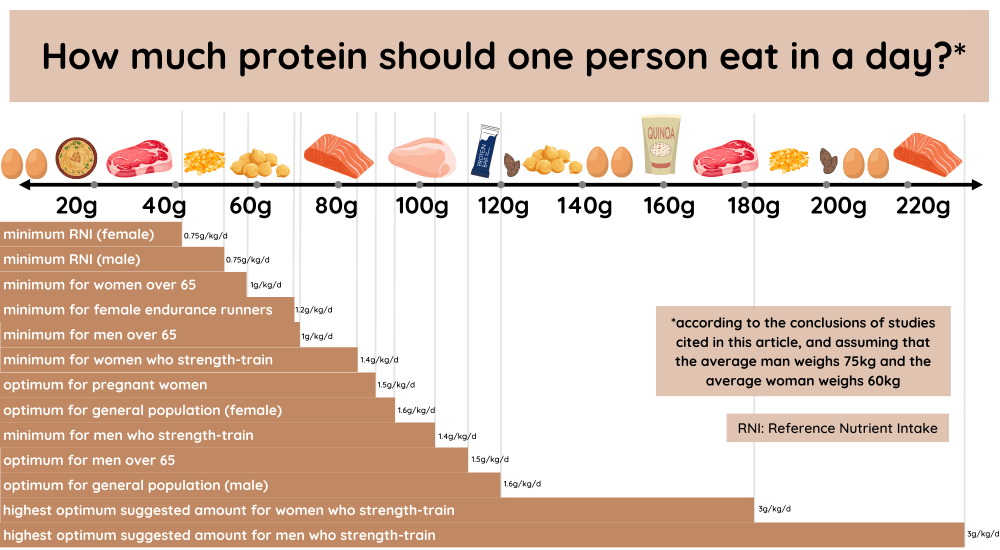 The Protein Myth: What the Science Actually Says - contextual illustration