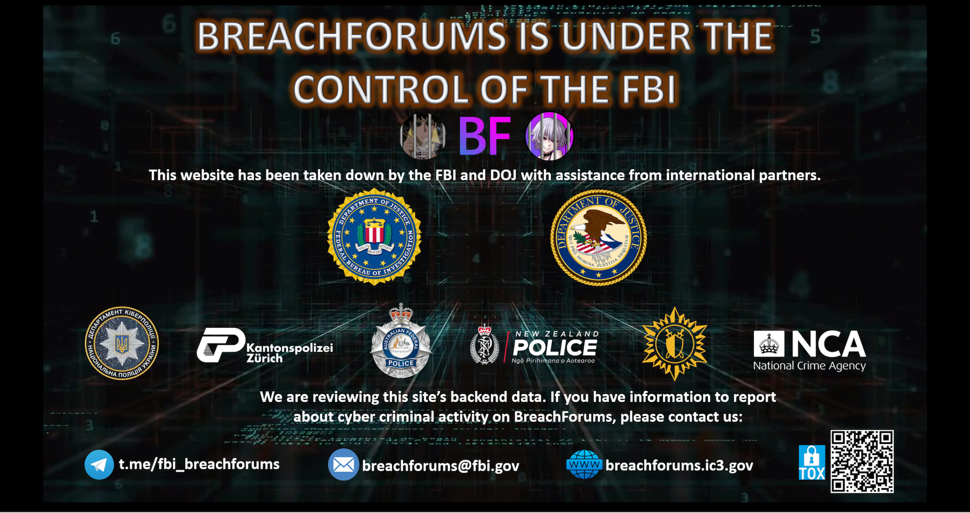 The Role of Governments and Organizations - visual representation