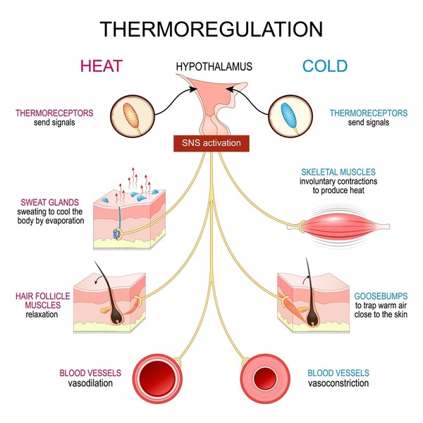 TL; DR - visual representation