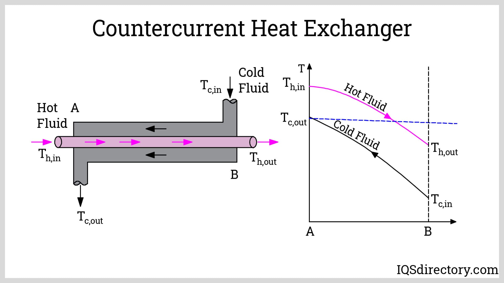 Mechanisms of Thermoregulation - visual representation