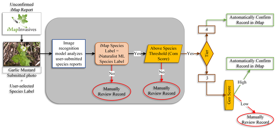 The Science Behind AI-Powered Bird Watching - contextual illustration