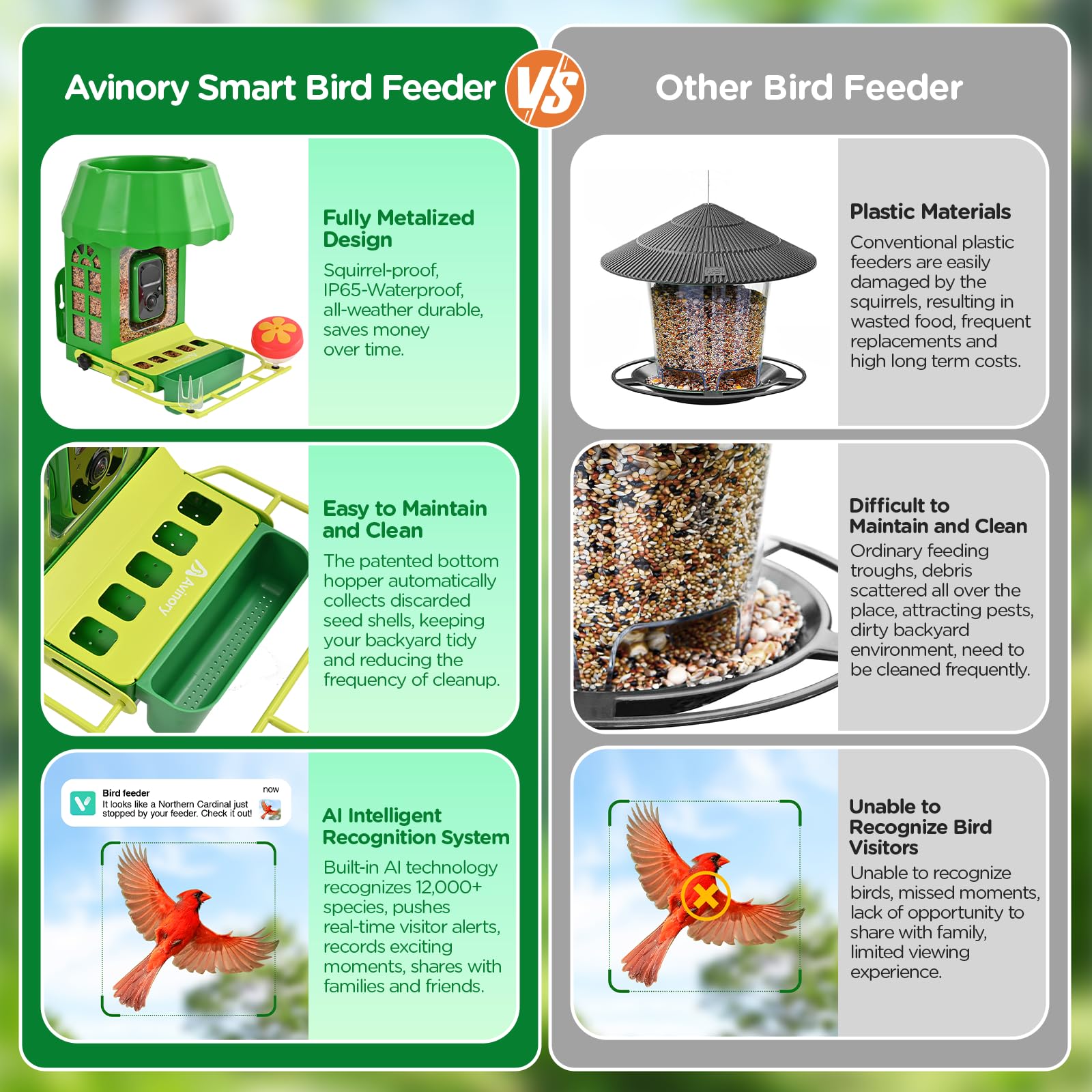 The Rise of Smart Bird Feeders - contextual illustration