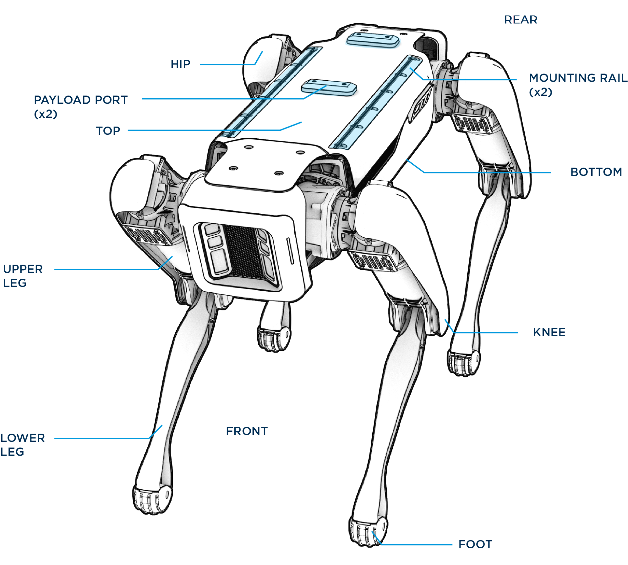 Key Technologies Behind Robot Dogs - contextual illustration