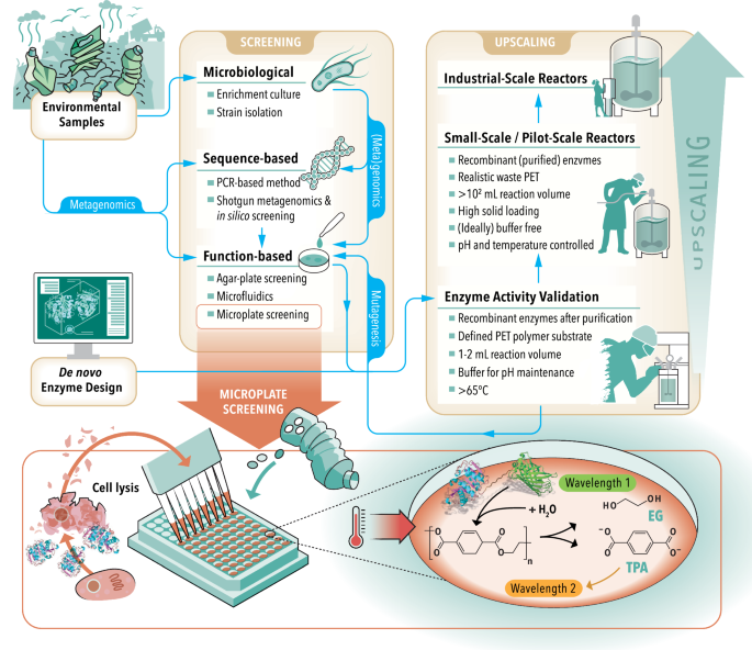 Future Trends and Evolution - contextual illustration